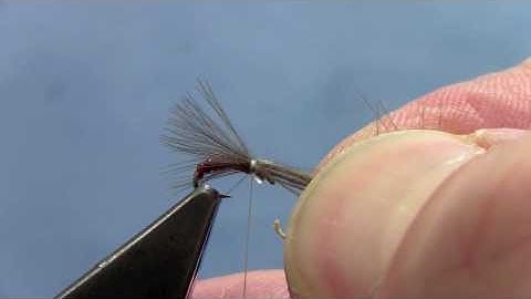 Fly Tying with Hans: CDC MIDGE EMERGER
