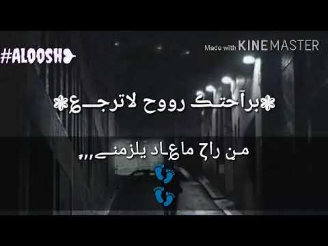 حالات واتس اب جديد 2019 براحتك روح لاترجع صلاح الاخفش