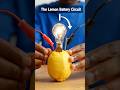 Lemon Battery Experiment 🍋⚡ | LED Light Trick #Shorts #experiment #science #tricks #ytshorts #lemon