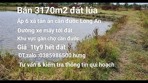 3170m2 đất lúa  ấp 6 xã tân ân cần đước Long An | ráp ranh thị trấn cần đước