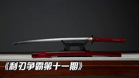 利刃爭霸迎來冠軍戰，來自世界各地的刀劍大師究竟誰能脫穎而出，帶走20萬美金的終極獎勵 - 天天要聞