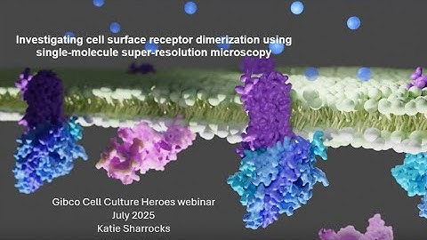Investigating cell surface receptor dimerization using single molecule super resolution microscopy