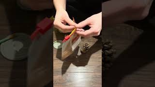 Quick and easy cinnamon scented pine cones! Wealth