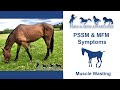 Pssm  mfm symptoms muscle wasting