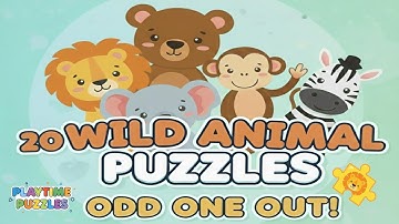 20 Wild Animal Puzzles! Find the Odd One Out for Kids | Brain Games & Learning Video