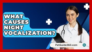 What Causes Night Vocalization? - PetGuide360.com