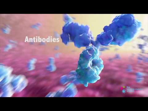Video: Šta je humani karcinoembrionski antigen?