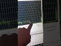hier für euch genies ! system gegen euch sieht so aus  schmutzige Demokraten tricks #satanisten