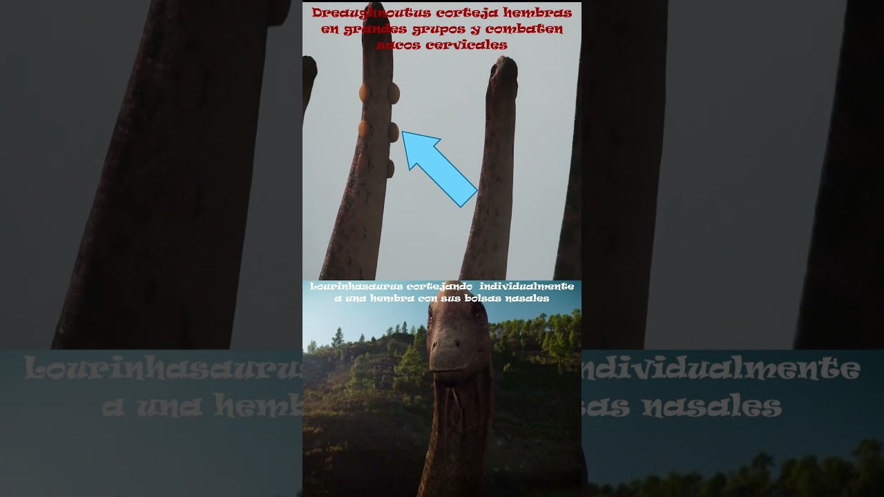 Dreaughnoutus vs Lusotitan