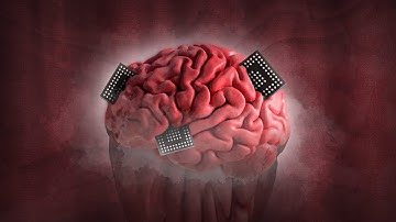 чип мне в мозг