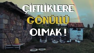 Çiftliklerde Gönüllü Trafiği Nasıl Sağlanıyor ?