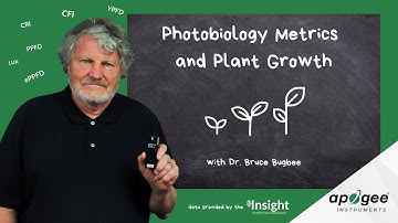 The Power of Photobiology Metrics and Plant Growth with Dr. Bugbee