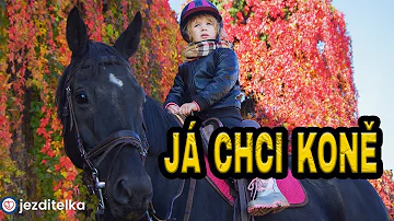 Jak se projevuje otrava na koně?