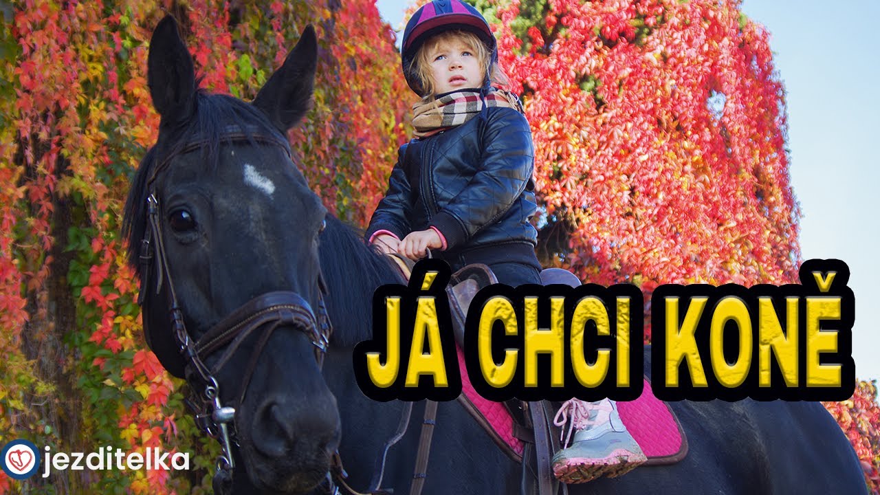 PROČ SI NEKUPOVAT KONĚ