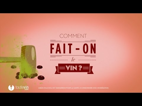 Vidéo: Comment Est Fait Le Vin Rouge
