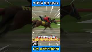 6월27일 금요경마 3경주!! 외곽게이트 무시하면 안될 복병!! 2주간 훈련변화 보인[새벽조교쏘스마] #강백호경마 #shorts