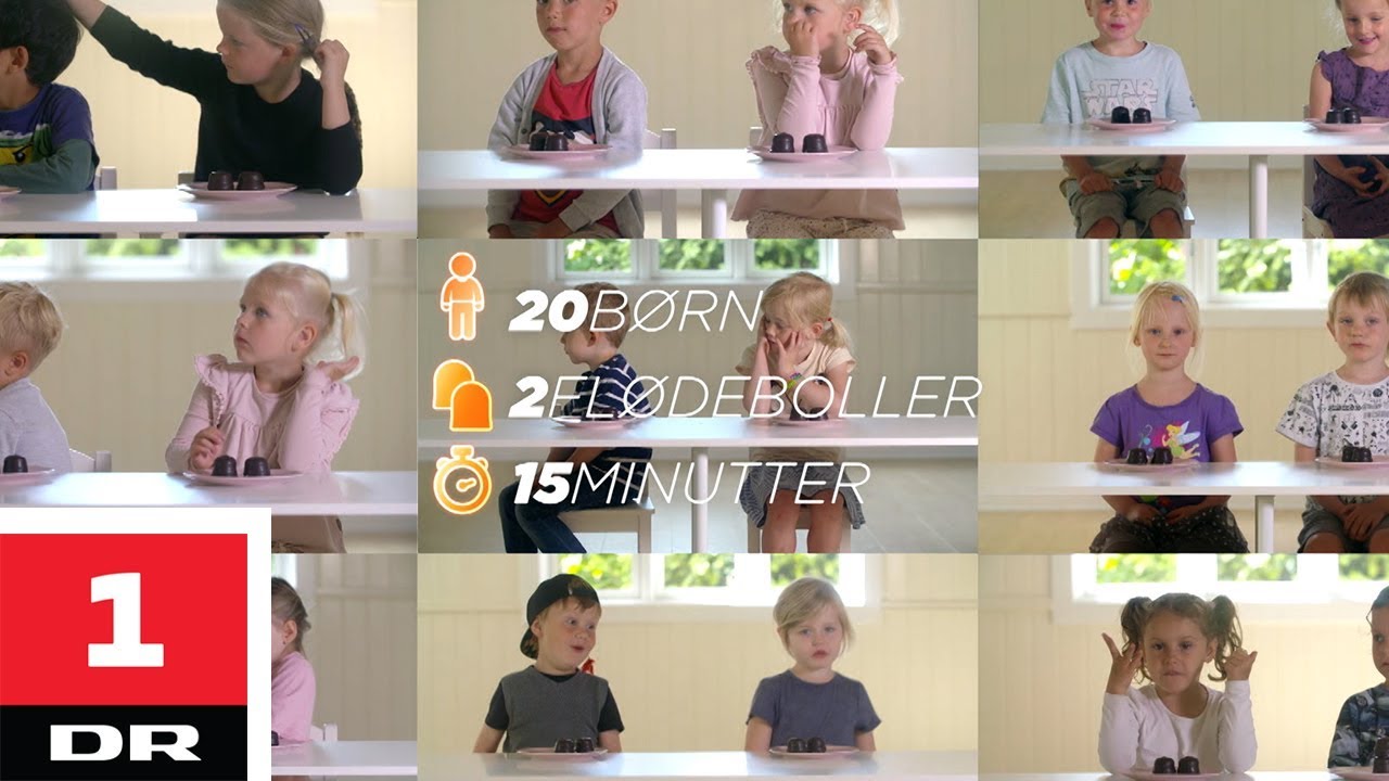 20 børn vs. 40 flødeboller | Alle mod 1 | DR1