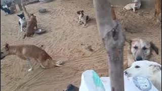 72836080 605a 412a ac2d e87055dbe5b7