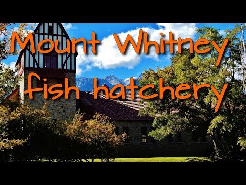 Mount Whitney fish hatchery  Independence, Ca eastern sierra