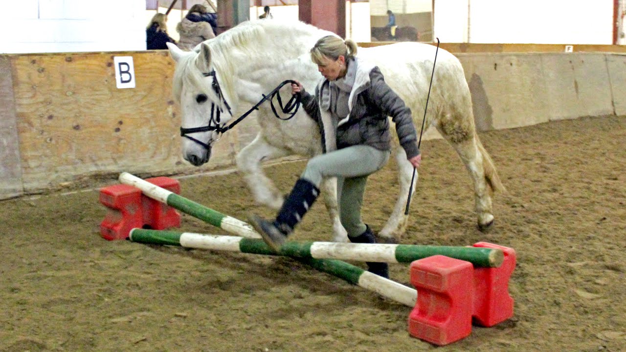 Neujahrsspringen 2015