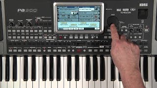 :        KORG PA900 . Igor Korg