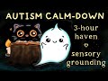 Autism Calming Ambience for Sensory Overload 💛 Midnight Forest Sounds
