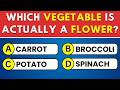 Test Your Knowledge with This 50-Question General Knowledge Quiz 🏆 Trivia Time! Mp3 Song