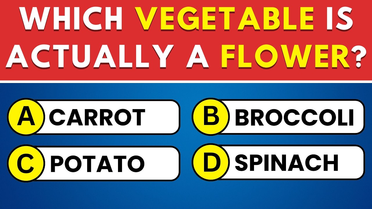 Проверьте свои знания с помощью этой викторины на общие знания из 50 вопросов 🏆 Время викторины!