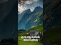 سورة نوح ماهر المعيقلي 