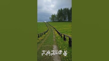 سورة نوح / ماهر المعيقلي