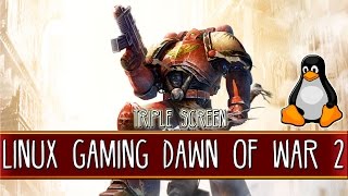 Triple Screen Linux Gaming | Dawn Of War 2