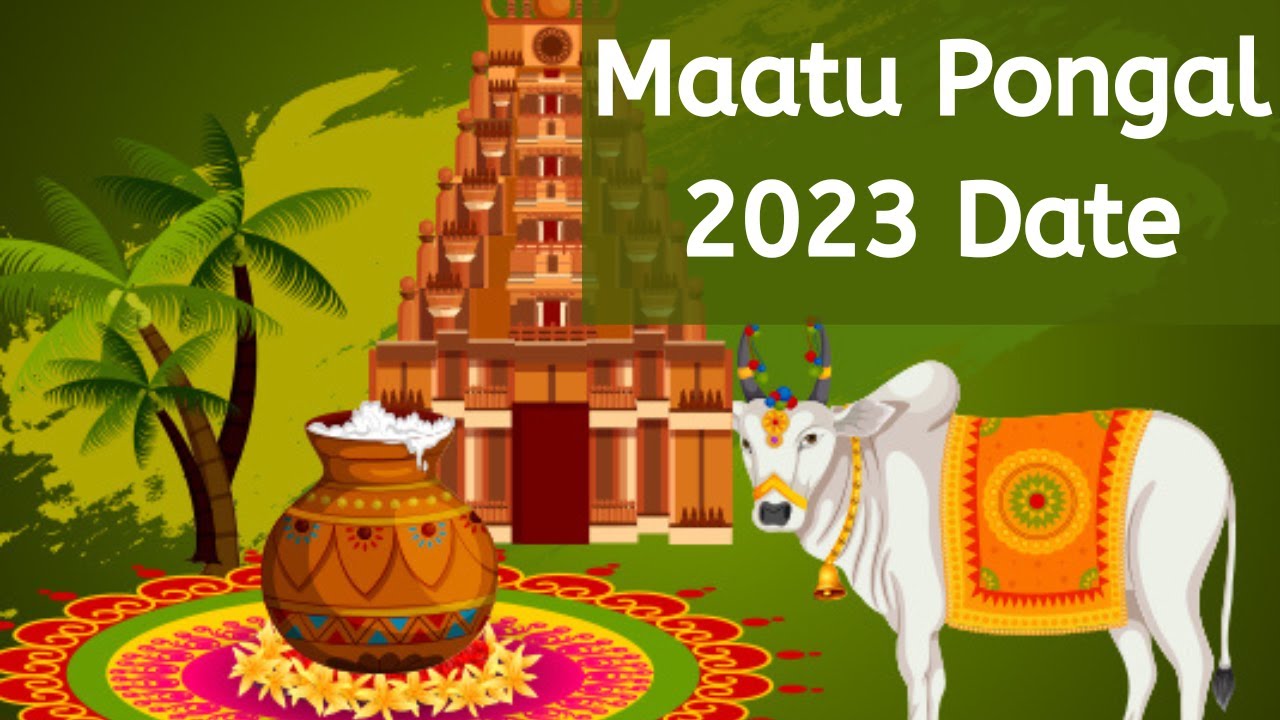 Mattu Pongal 2023 Date - When is Mattu Pongal 2023 Date - Happy ...