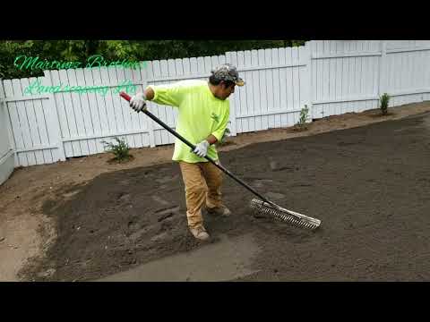 Como instalar nuevo cesped De una forma facil y rapido - YouTube