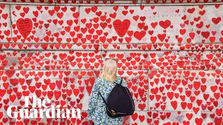 UK Covid inquiry hears evidence in third week  – watch live
