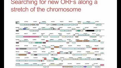 What is gene annotation?