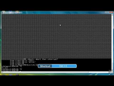Using The Ruby Interactive shell
