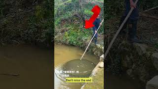 Fishing shorts| Fishing videos |Fishing in River #shorts #ytshorts #fishing