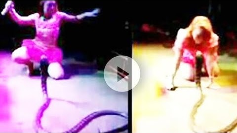 Video Tragis detik detik Irma Bule di Gigit Ular Cobra