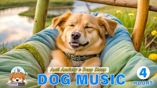 Help Your Dogs🐶Cure Separation Anxiety with Deep Sleep Music For Dogs🐶Calming Stress Relief For Dogs