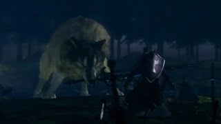 Dark Souls - Great Grey Wolf Sif Boss Fight