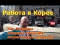 Работа в Корее,  Гадюшник в квартире ЖЕСТЬ!!!!