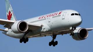 Best Of Spotting At Yul 2017