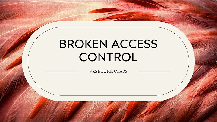 Broken Access Control - Getting Admin Panel on Website..