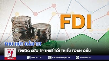 Thu hút đầu tư trước sức ép thuế tối thiểu toàn cầu - VNEWS