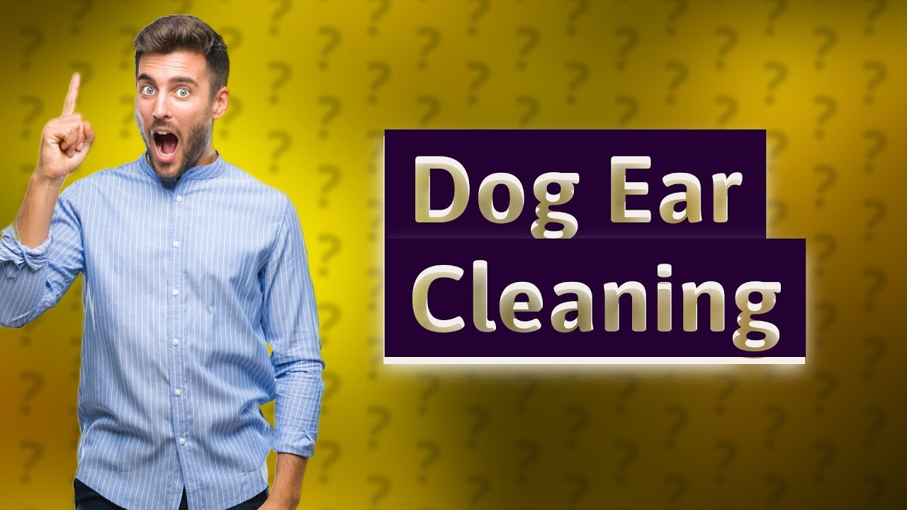 Natural Remedies for Dog Allergies: Soothe Your Pup at Home