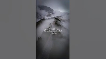 ﴿ فاستقم كما أمرت ومن تاب معك ولا تطغوا ﴾ سورة هود، اسلام صبحي #قرآن #ارح_قلبك #قران_كريم