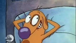 CatDog - Cat's Winslow Nightmare
