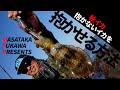 【アングリングソルト発売中！】渋イカ攻略決定版！～湯川マサタカ（ショア侍JOE）