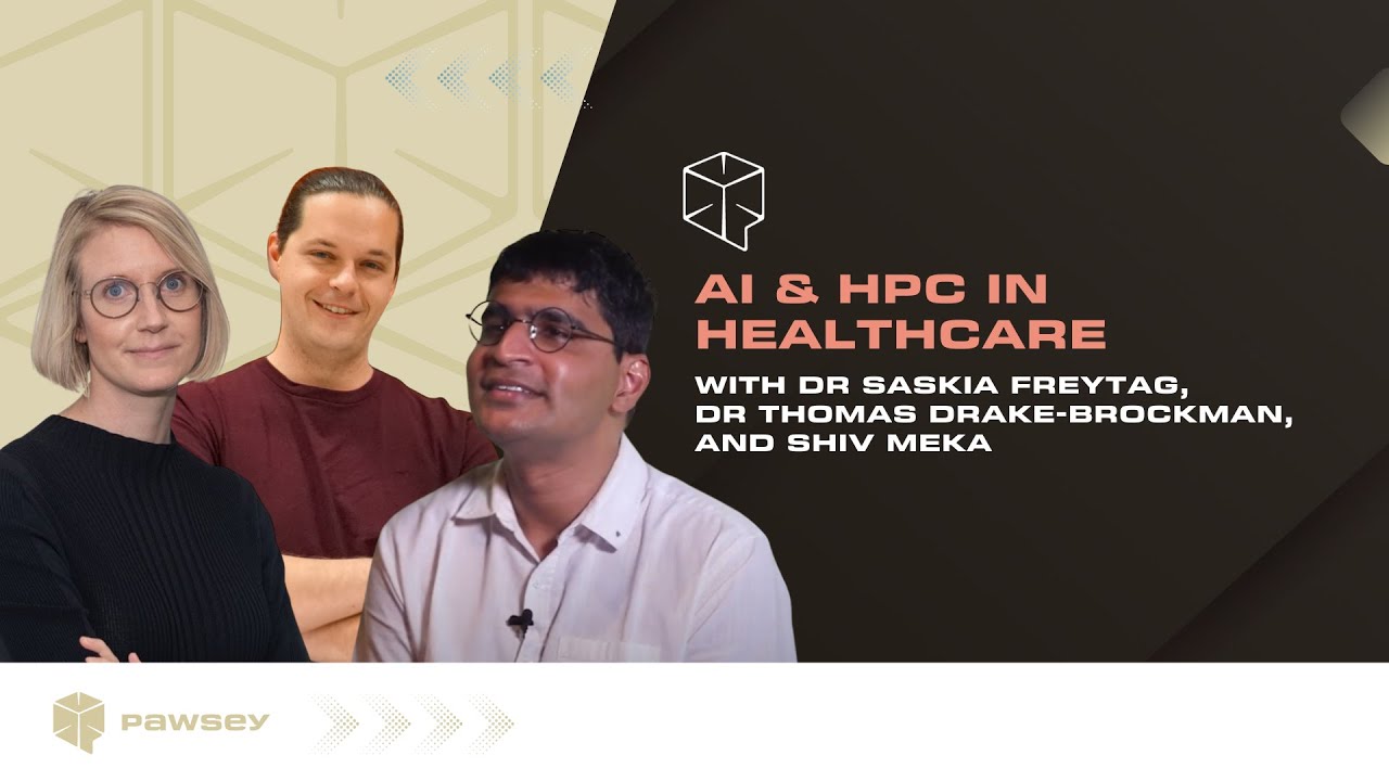 AI & HPC in Healthcare panel discussion