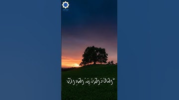 المال و البنون زينه الحياه الدنيا    سوره الكهف
